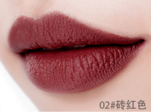 matte lipstick anti fading