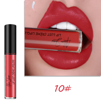 Silky creamy texture lip gloss