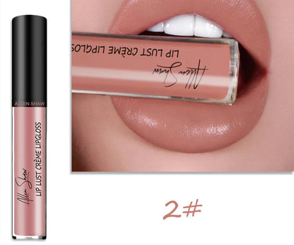 Silky creamy texture lip gloss