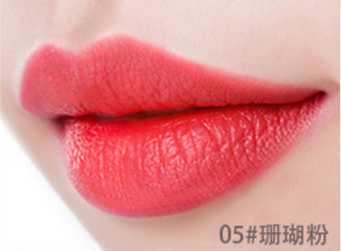 matte lipstick anti fading